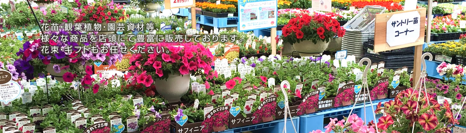 花苗・観葉植物・園芸資材等、様々な商品を店頭にて豊富に販売しております。花束・ギフトもお任せください。